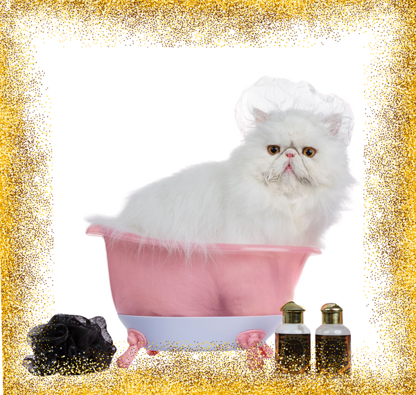Special Shampoo