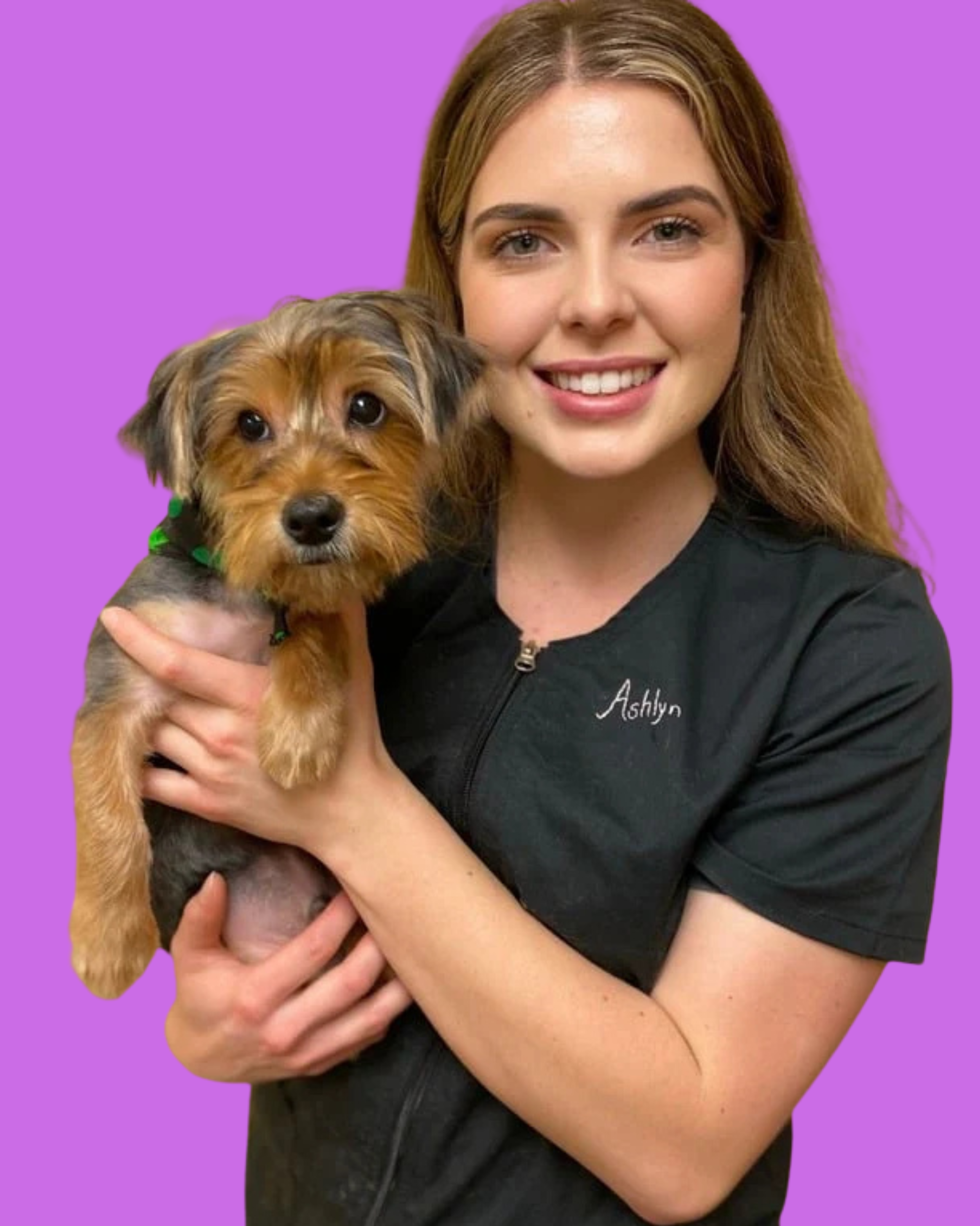 Team Member