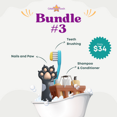 Bundle #3