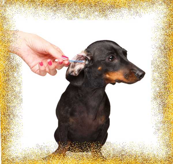 Ear Cleaning