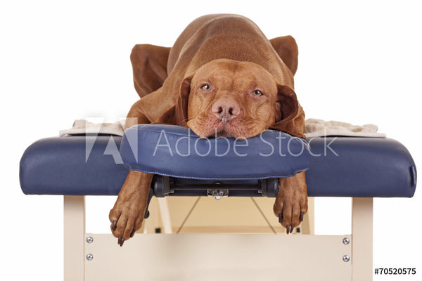 Spa Treatments