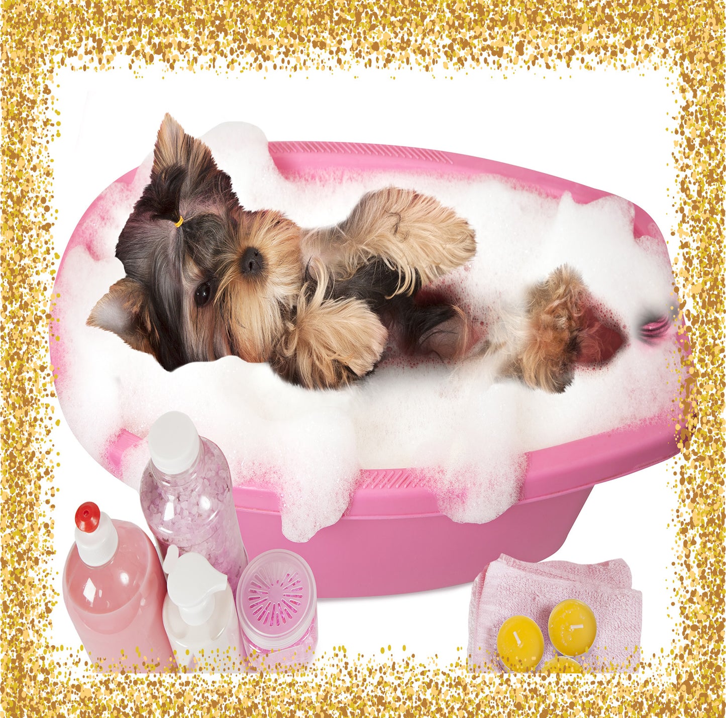 Deshedding Shampoo & Conditioner