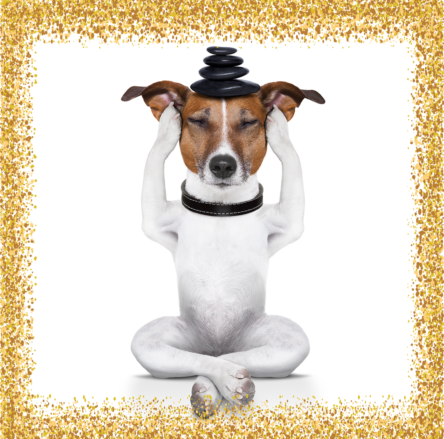 Emotional/Physical Healing