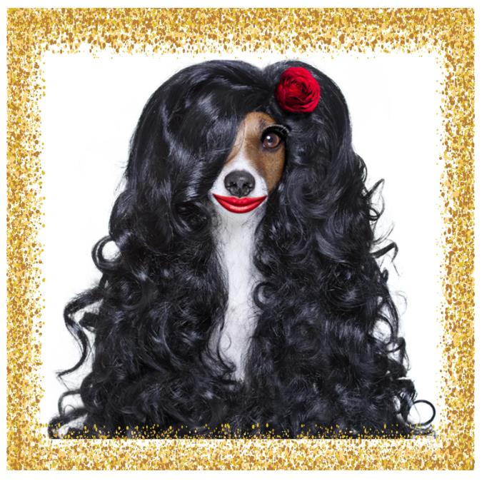 DEMATTING BRUSH OUT <br> Starting at $15