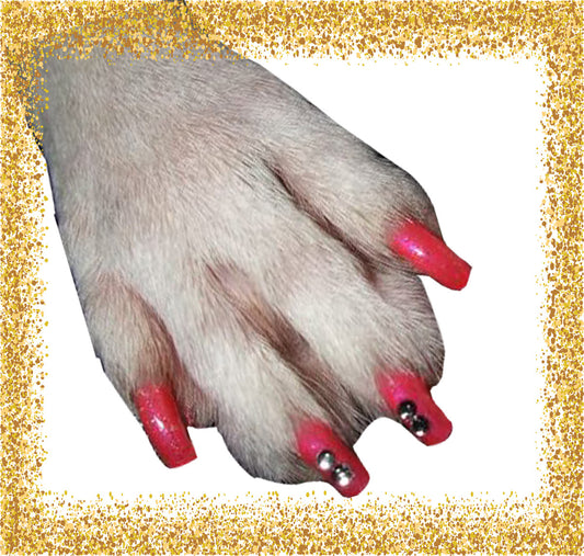 Pawdicure